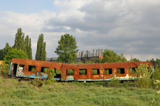 柑橘苗木修剪技術視頻講解圖（柑橘苗木修剪技術視頻講解圖片）