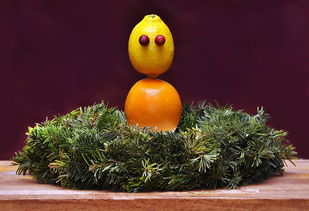 橘子文案怎么寫（橘子文案什么意思）